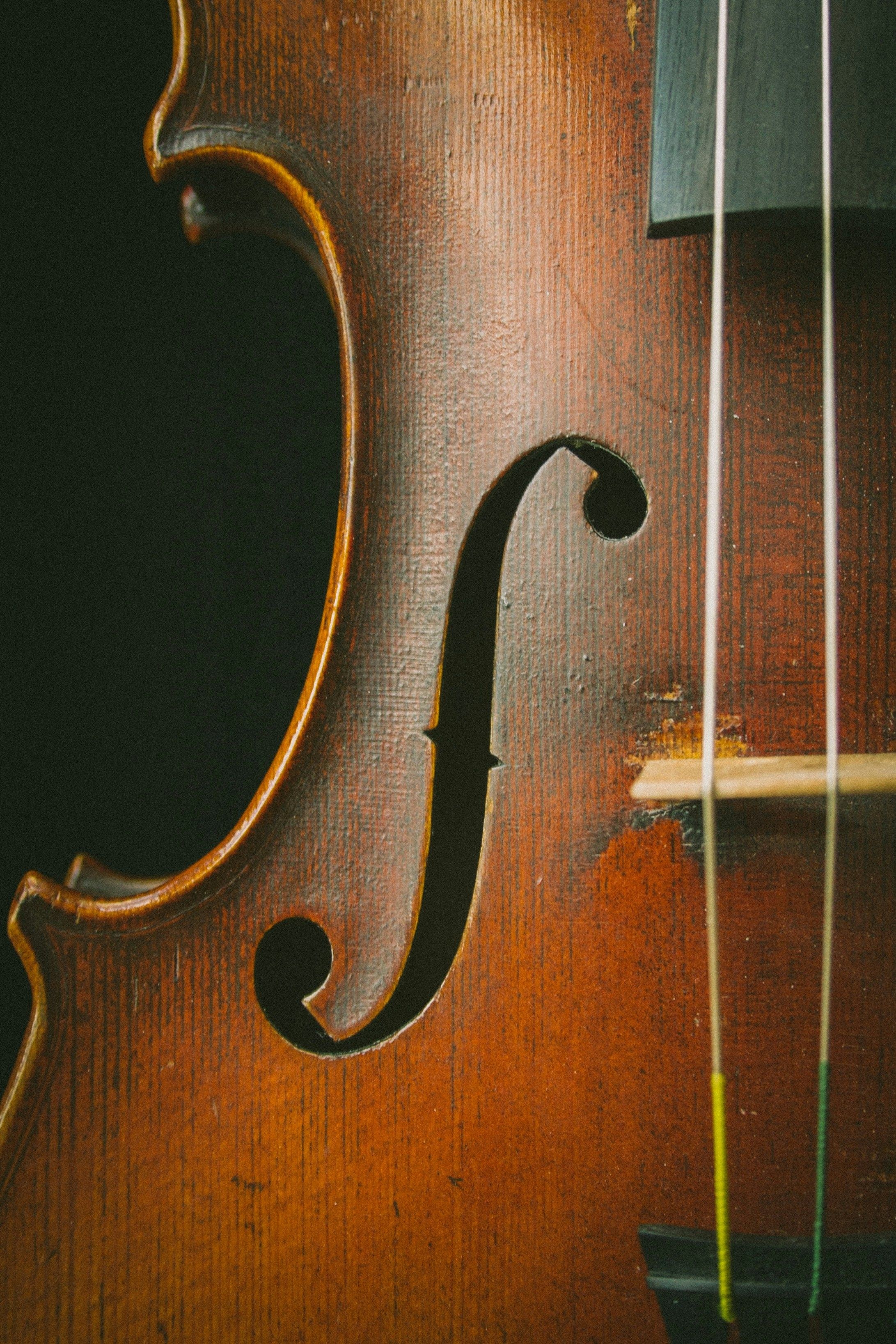 Adult Cello Group Class