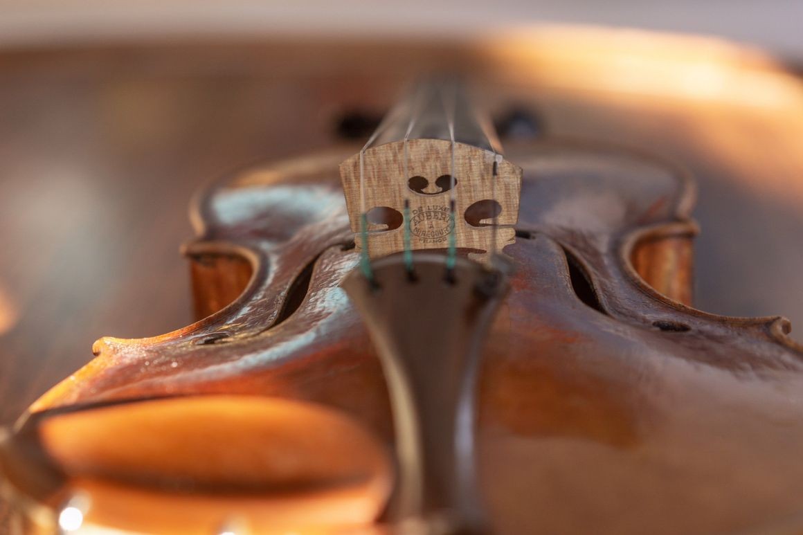 close up of Violin strings